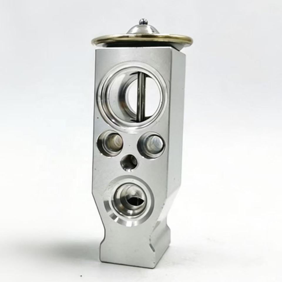 OE SY515-A0110 Automotive Air Conditioning Expansion Valve for Peugeot 206/405