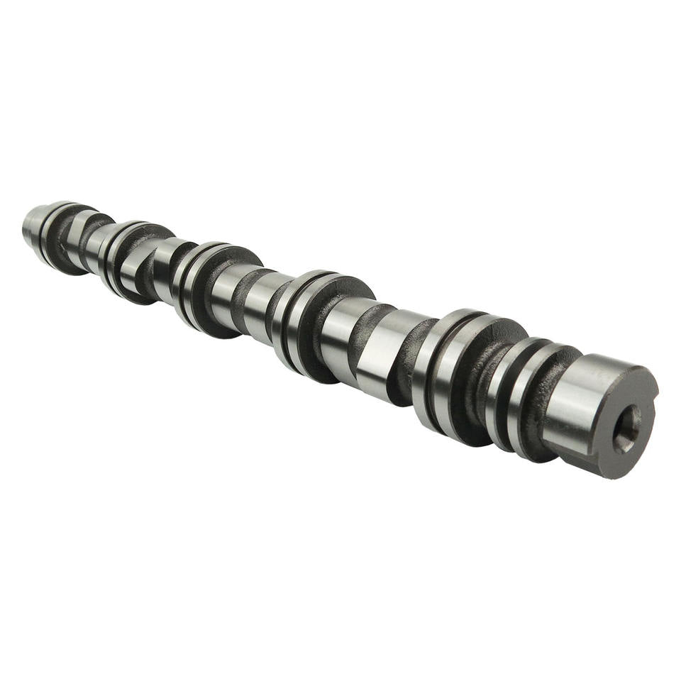 B10S1 B12S1 F12S3 Engine Spare Parts 96325213 96666394 96191781 96951781 Camshaft for DAEWOO MATIZ1.0