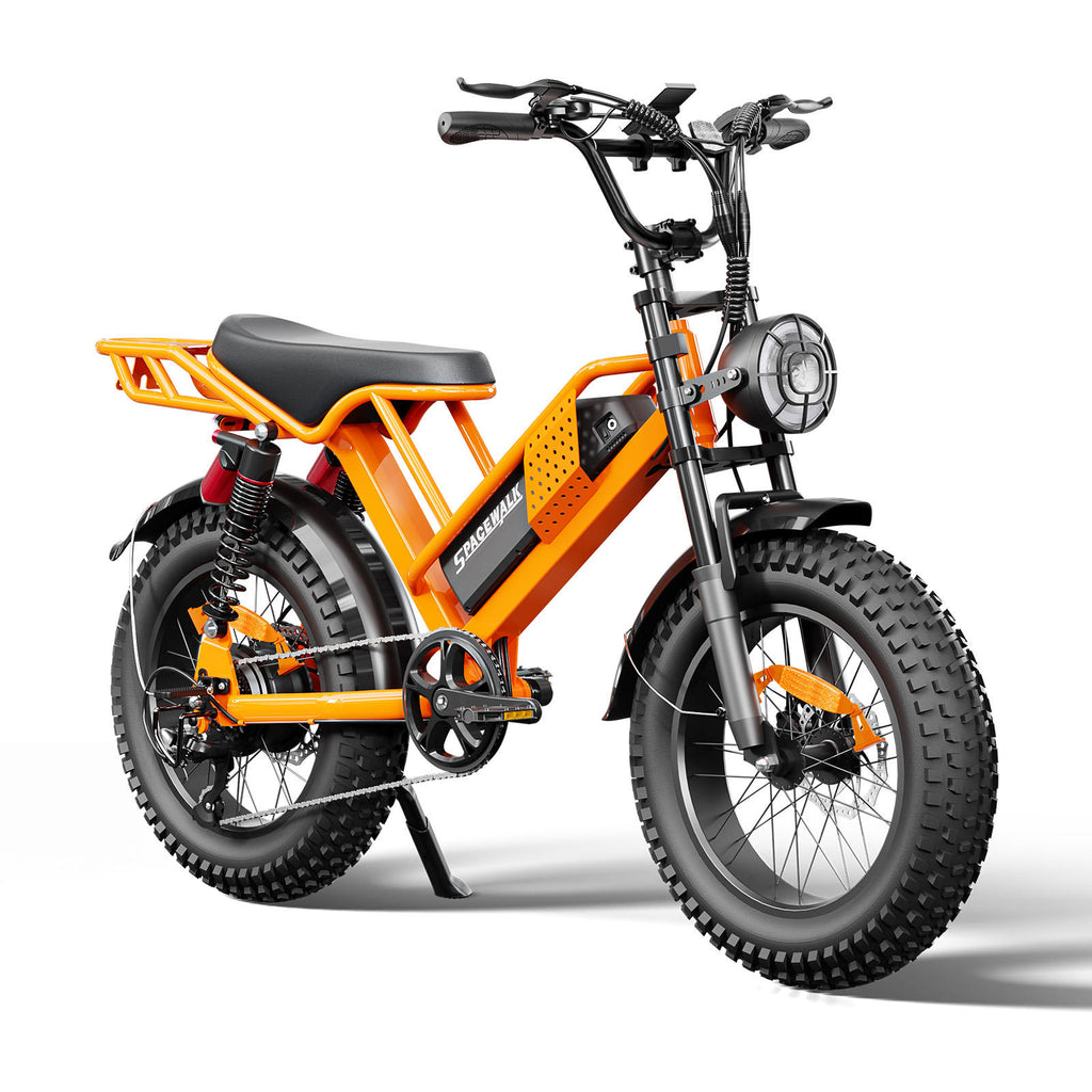 48V 750W Fat Tire Electric Mountain Bike | 15Ah Battery Off-Road eBike