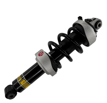 Load image into Gallery viewer, Original Factory Quality Shock Absorbers for the Front Electric air Suspension of Older Audi R8 Models, 420412019AJ/420412020AJ