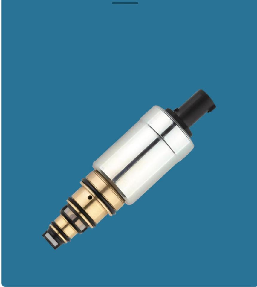 Control Valves for ZEXEL DCS17, DCW17F - Compatible with BEN Z, VAL EO