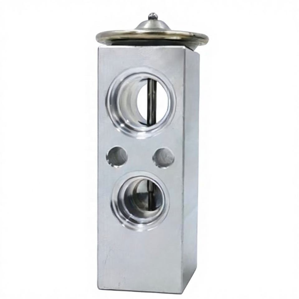 OE 96387210 Automotive Air Conditioning Expansion Valve for Lanos R-134A