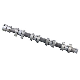 RFN Engine Ductile Iron Cylinder Camshaft OEM 9651877488 0801CA for CITROEN/PEUGEOT406 407 FIAT