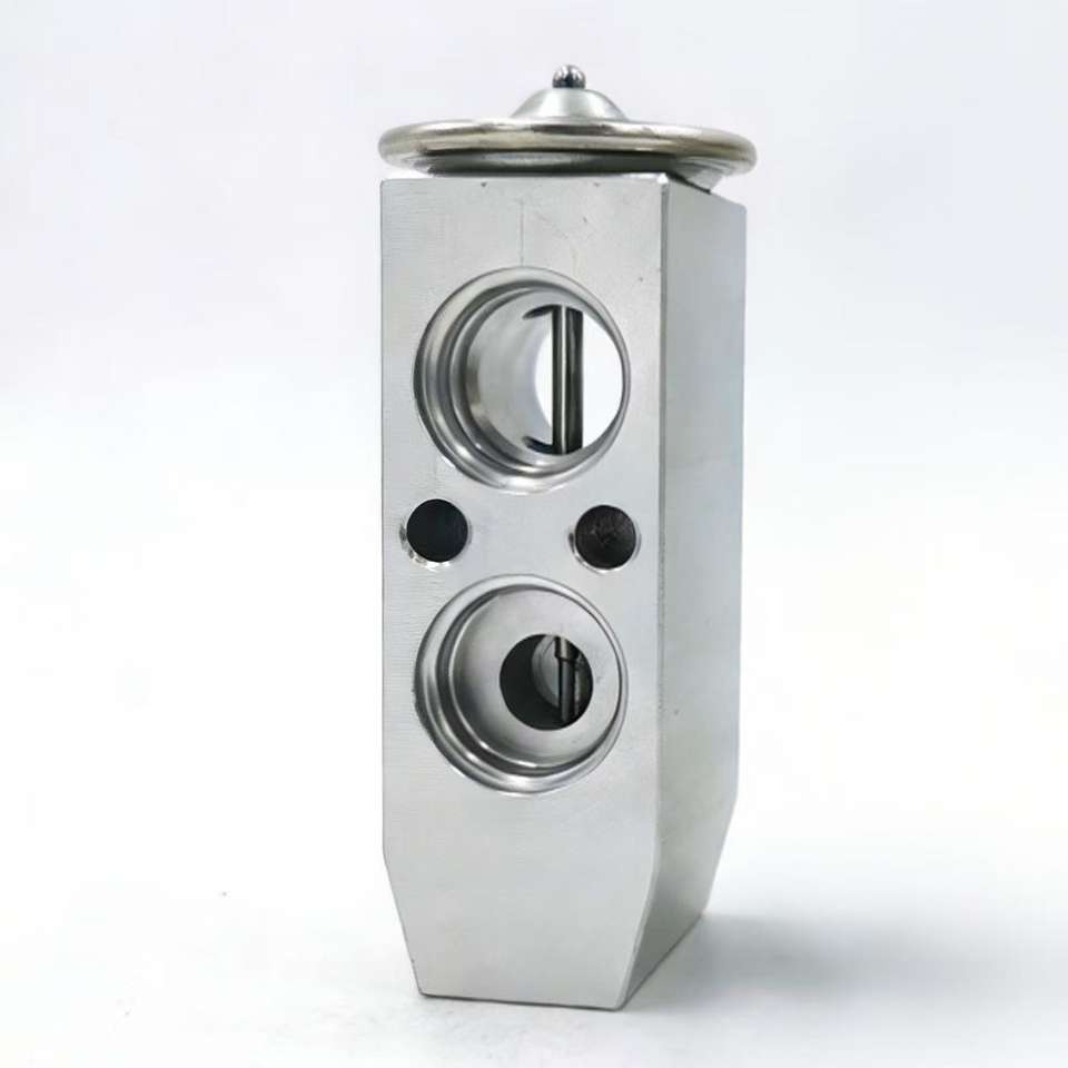 S4004 OE BP4K61J14 Air Conditioning Expansion Valve for M3/M5