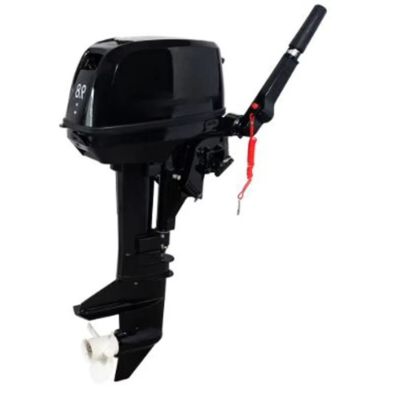 Electric Outboard Engine 2 T9.8/T12 Outboard Engine Paddle Engine Thruster Marine Accessories