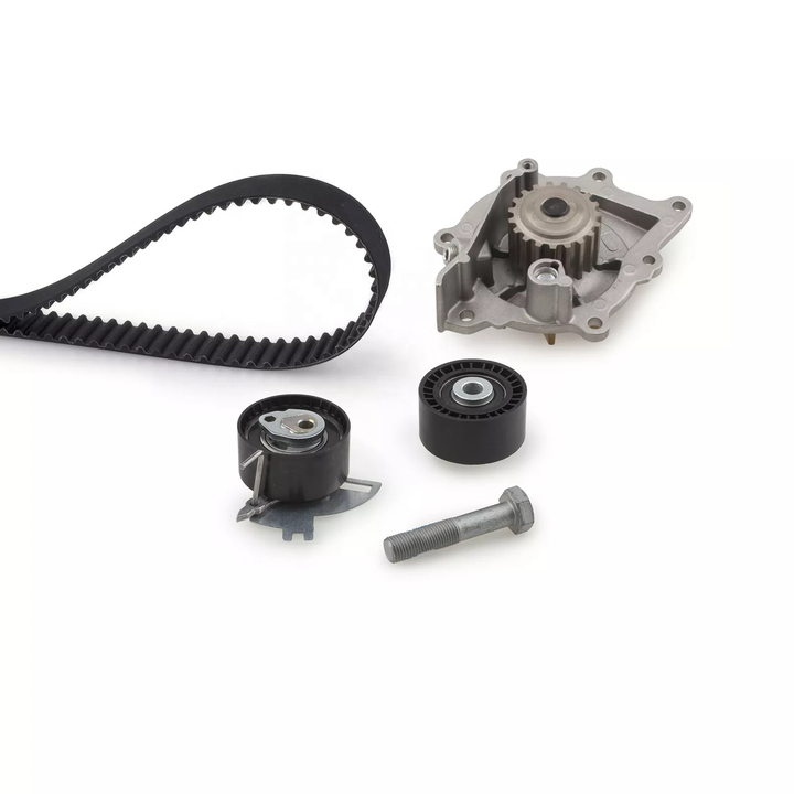 Automotive Timing Components Manufacturer Hot Sale Auto Timing Belt Kits with Pump with Hydraulic Timing Tensioner with Pulley