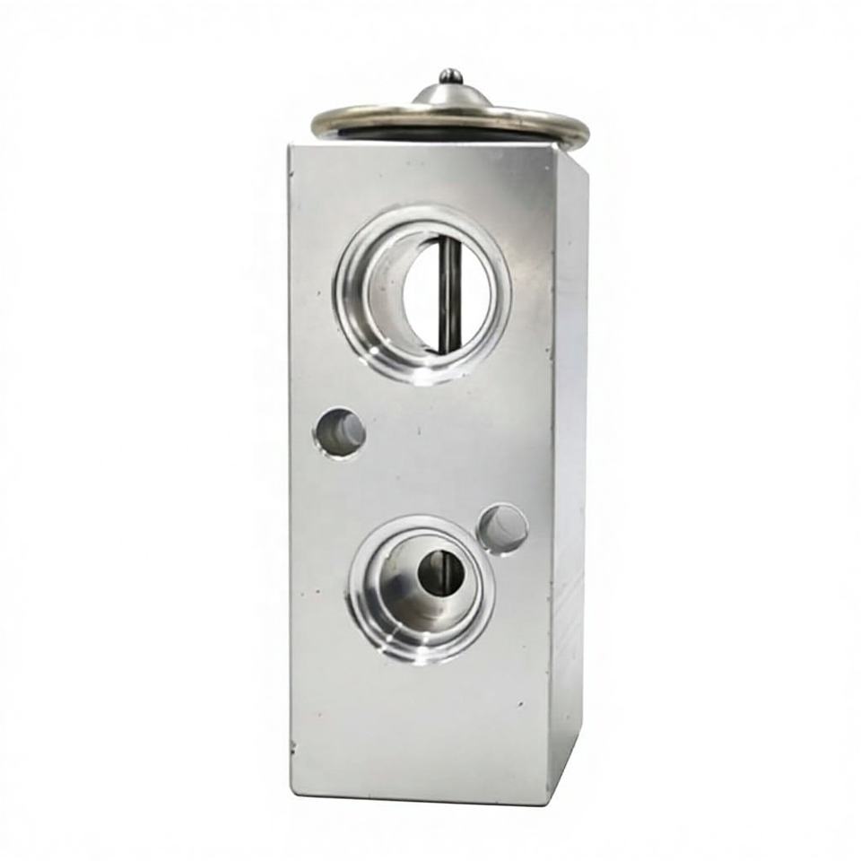 S9002 OE 9073208 Air Conditioning Expansion Valve for Evanda 2005