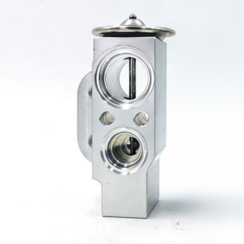 OE 6Q0820679A 6Q0820679F Air Conditioning Expansion Valve for Ibiza/Cordoba