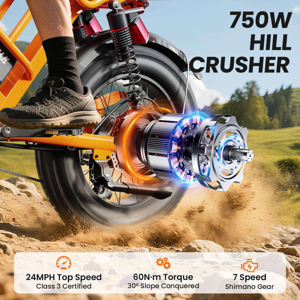 48V 750W Fat Tire Electric Mountain Bike | 15Ah Battery Off-Road eBike