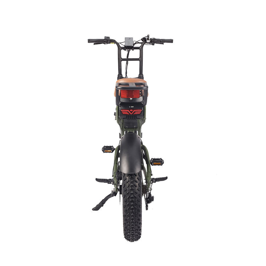 Fat Tyre Electric Bike High Face 20" Electric Mountain Bike | 48V eBike