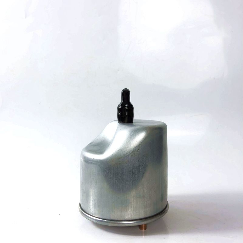 Filters for Ford diesel Engines, Including FF5022 Y65013ZAY P11194 Y65013480 1882099 WK9046Z Water-separating Fuel Filters.