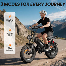 48V 750W Fat Tire Electric Mountain Bike | 15Ah Battery Off-Road eBike
