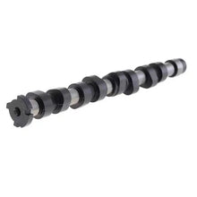 Load image into Gallery viewer, Germany Car Engine Iron Camshaft for VW fox 2004-2014 Gol 2009-2013 Voyage 2009-2013 OEM 032109101AG