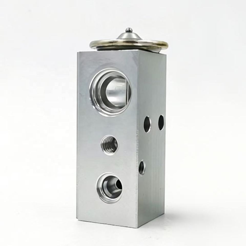 OE 97626-J1100 Automotive Air Conditioning Expansion Valve for La Festa