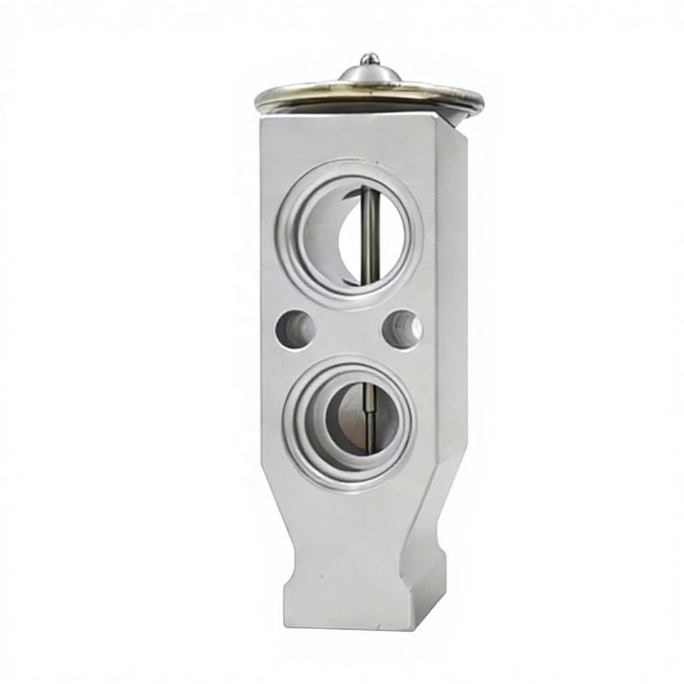 OE KKY01176705 Automotive Air Conditioning Expansion Valve for Saipa Tiba 211
