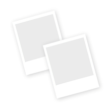 Load image into Gallery viewer, Pack of 10 Auto Bulbs 12v 3W 8x36mm Festoon