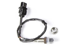 Load image into Gallery viewer, Haltech WB1 Bosch - Single Channel CAN O2 Wideband Controller Kit HT-159976