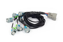 Load image into Gallery viewer, Haltech Nexus Rebel LS - LS EV6 Injector Sub-Harness HT-186502