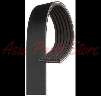 Gates 6PK1005 black EPDM 6-rib Micro-V drive belt, 1005mm length