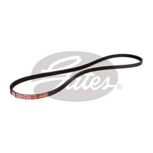 Load image into Gallery viewer, Gates Micro-V Belt 3PK925
