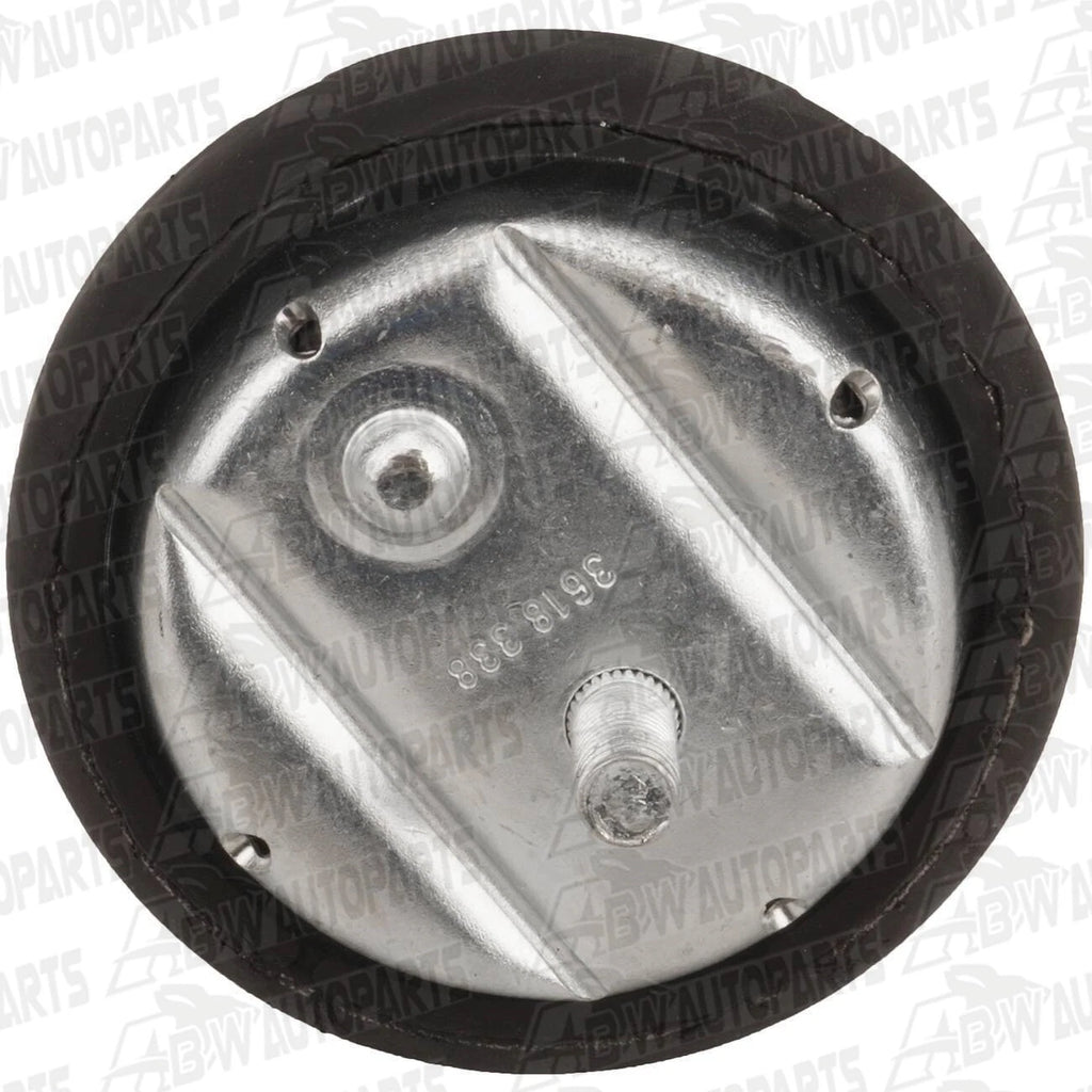 Front L + R Engine Mounts for BMW 320i 323i 325i 328i 330i M3 Z3 Roadster 90-13