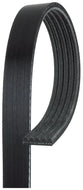 Gates 5PK1250 Multi-Ribbed Accessory Drive Belt, 5PK 1250