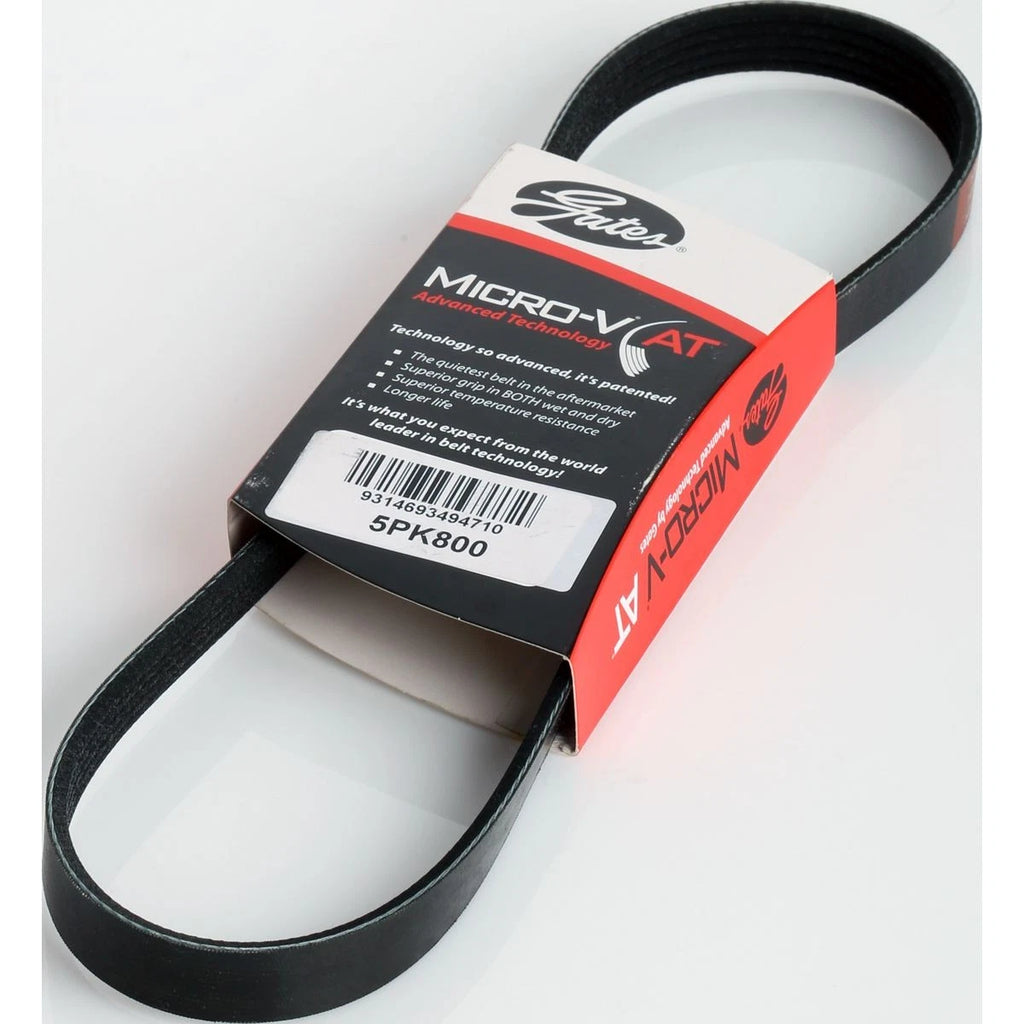 Gates Ribbed Belt 5PK800