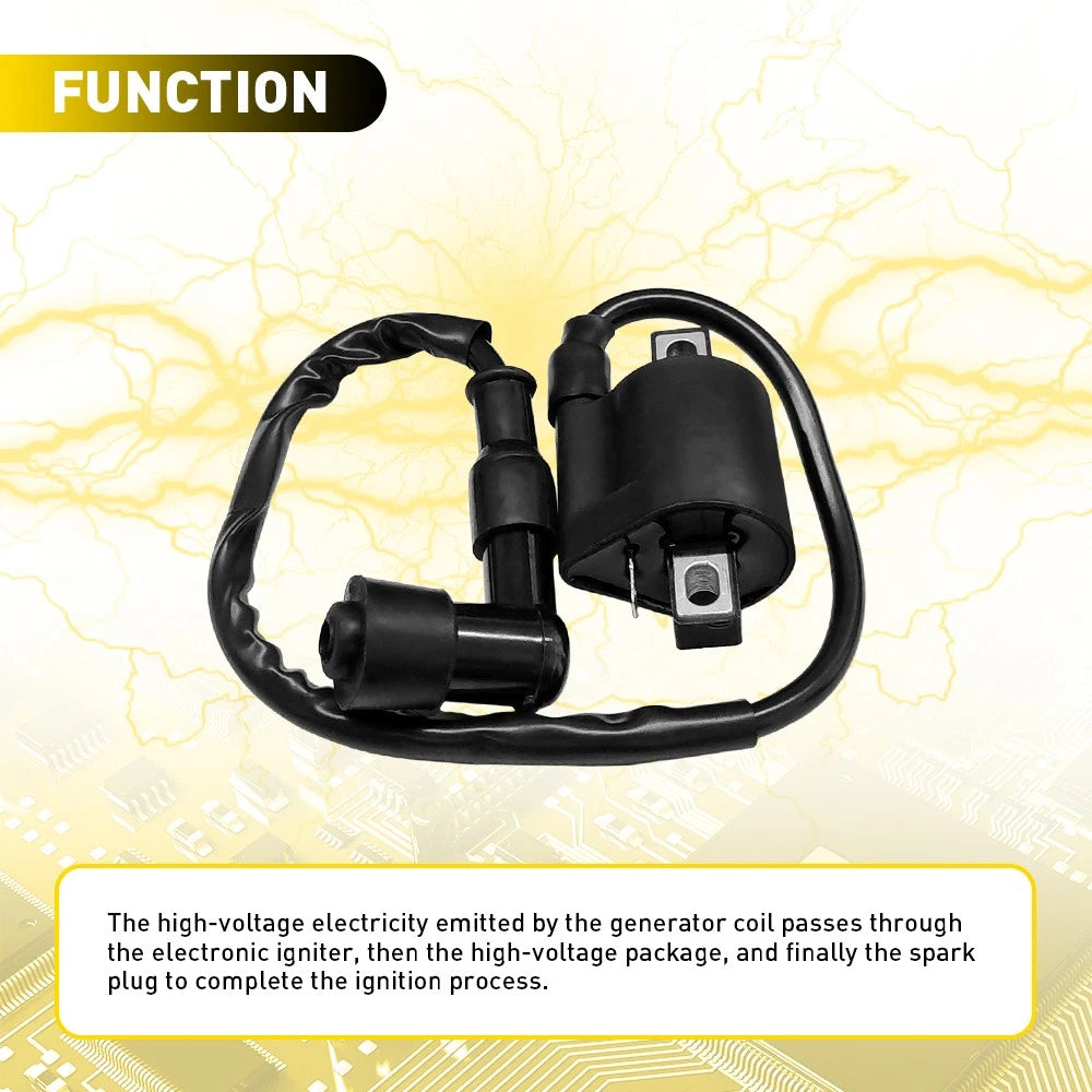 Ignition Coil CDI UNIT Regulator 150cc 200cc 250cc PRO Bike Trail Bike Dirt Bike