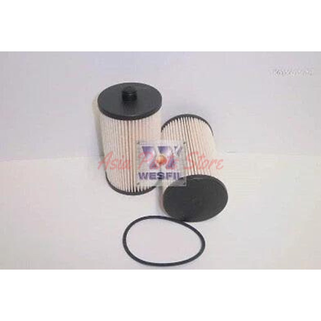 Wesfil WCF161 inline fuel filter replacement element for automotive fuel systems