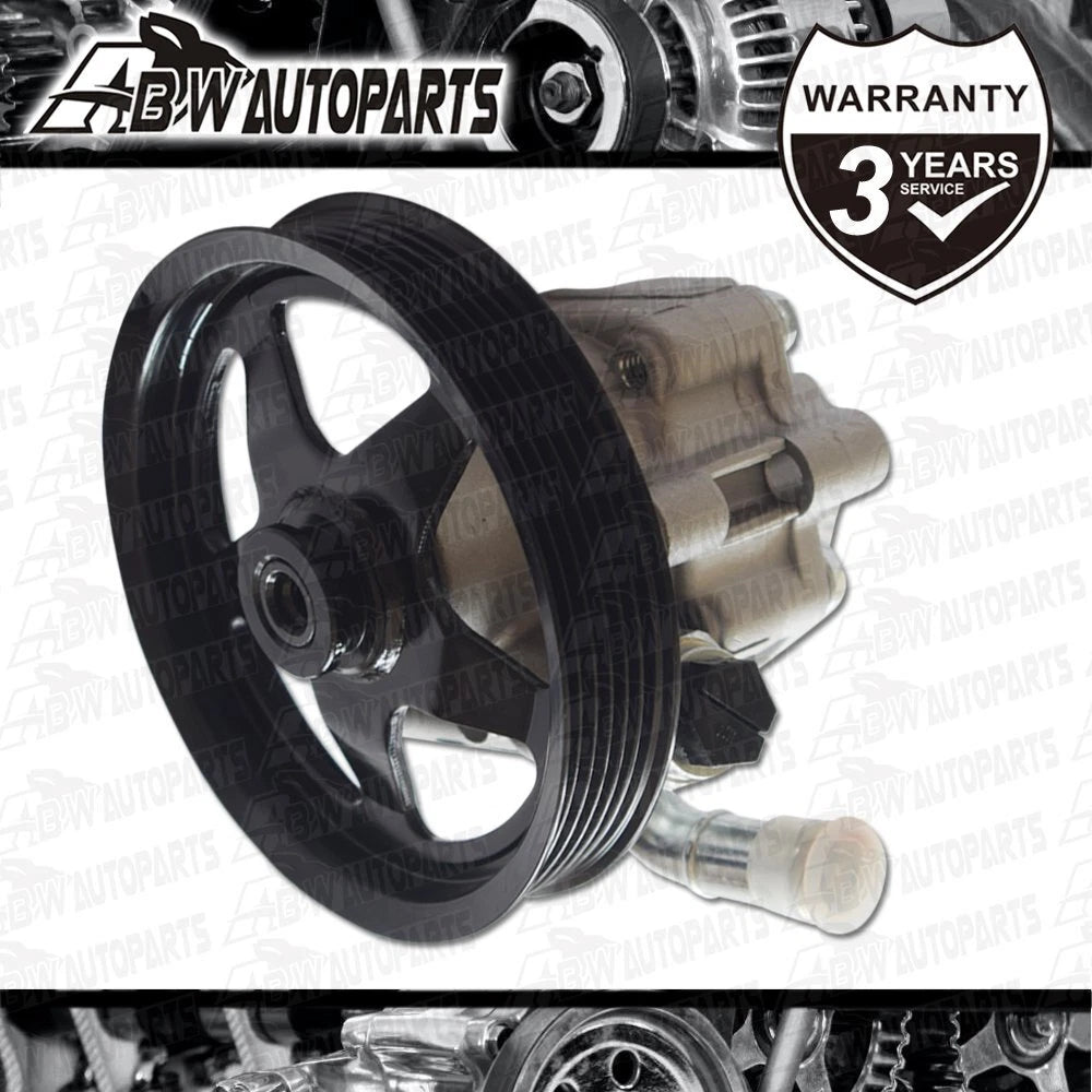 Power Steering Pump & 138MM Pulley For Holden Commodore VZ VE V6 V8 SV6 SS 05-13
